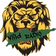 ViiLD Reggae logo