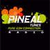Pineal tunes Logo
