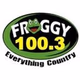 Froggy 100.3 - WFFG-FM Logo