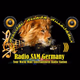 Radio SAM Music - Radio SAM Germany Logo