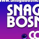 Radio Snaga Bosne Logo