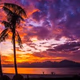 Smooth Jazz Sunset Logo