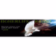 Higherlife Gospel Radio Logo