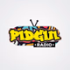 Pidgin Radio Logo