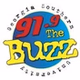 91.9 The Buzz - WVGS logo