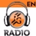Roland Garros 2013 Logo