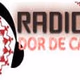 Radio Dor De Casa Logo