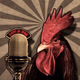 Radio el Mirador del Gallo Logo