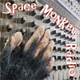 Space Monkey Radio Logo