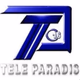 Radio Tele Paradis 104.7 Fm Logo