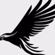 Nighthawk Radio Logo