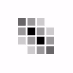 Noticias.com.ve Radio Logo