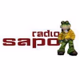 Radio Sapo Jovem Logo