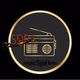 Simplict Digital Radio Logo