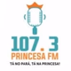 Radio Princesa FM Logo
