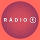 Rádio T Ponta Grossa logo