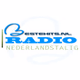BesteHitsNL logo