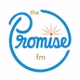 The Promise FM - WSRJ logo