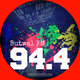 Butwal FM Logo