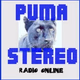 Puma Stereo Logo