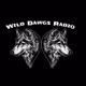 Region Radio - Wild Dawgs Radio Logo
