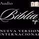 AUDIO BIBLIA - NUEVA VERSION INTERNACIONAL logo