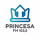 Rádio Princesa FM 103,5 Logo