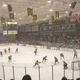 Clarkson University Hockey Radio Logo
