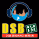 DSB FM 93.8 Deliserdang Logo