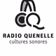 Radio Quenelle Logo