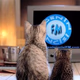 Egeninincisi FM Logo