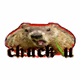 ChuckU Keep On Chuckin' 70's Logo