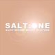 Salt One Logo
