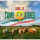 Tame Fm Stereo 88.3 Logo