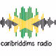 Caribriddims Radio Logo