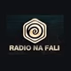 Radio Na Fali Logo