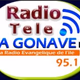 Radio La Gonave FM Logo