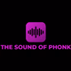 24/7 Phonk Radio Logo