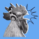 The Coop: Cornish Radio Logo