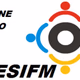 DESIFM & JATTFM Logo