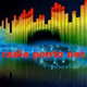 Radio PonteNet Logo