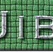 Diapason Jibaro Radio Logo