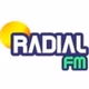 Radial FM logo
