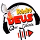 Radio Deus Que Liberta logo
