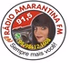 Rádio Amarantina FM logo