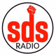 SDS GLOBAL RADIO Logo