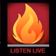 Northeast Iowa Public Safety Logo