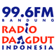 RDI 99.6 FM Logo