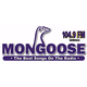 104.9 The Mongoose - WMNG Logo