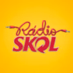 Radio Skol - Sertanejo Logo
